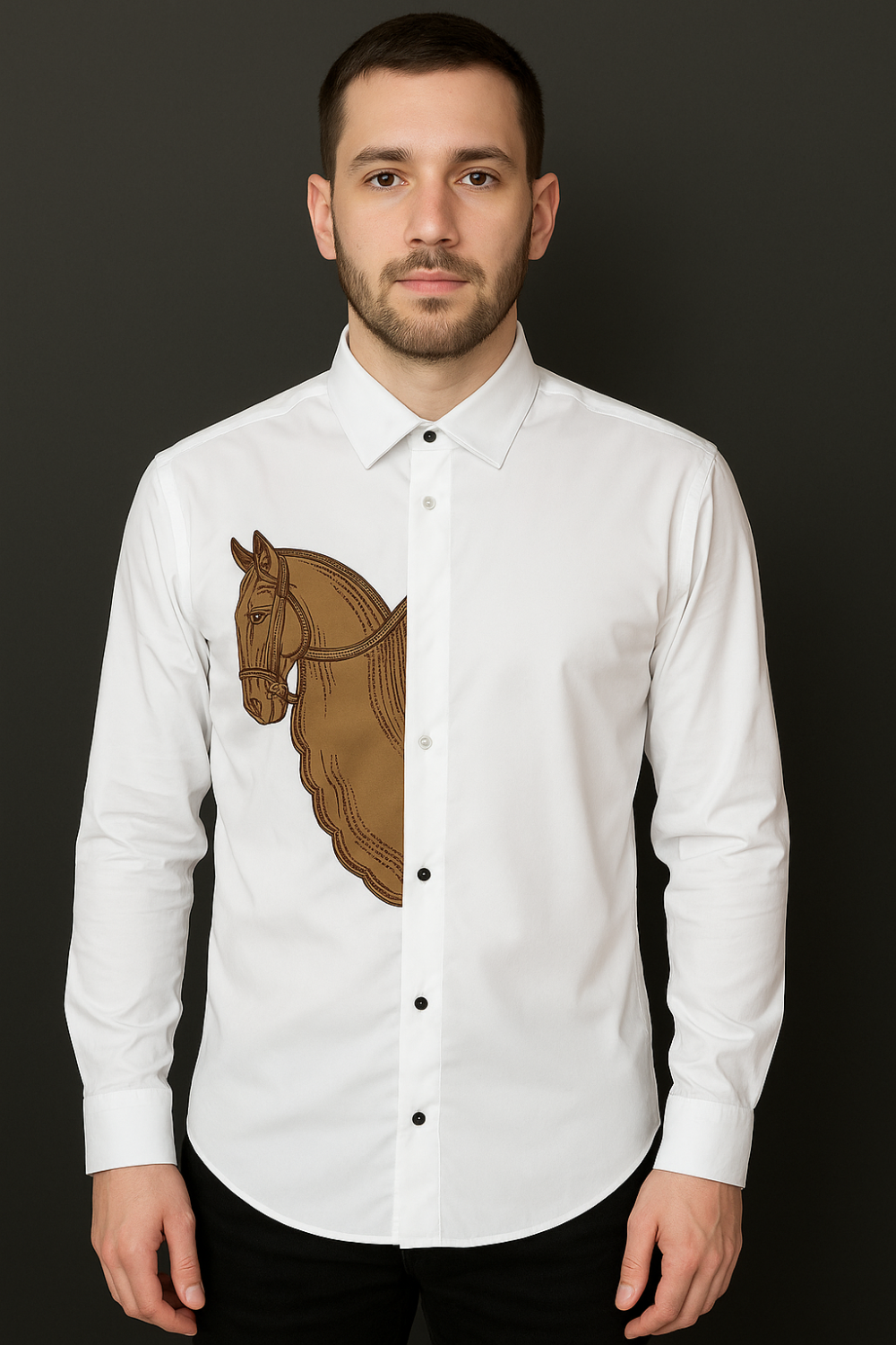 Men's Casual Shirts